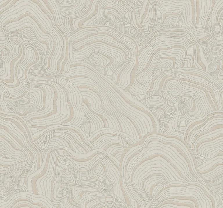 Ronald Redding Geodes wallpaper, color Taupe, SKU KT2164