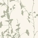 Ronald Redding Ginkgo Silhouette - Sage Wallpaper | Buy Online Ronald Redding Ginkgo Silhouette wallpaper, color Sage, SKU VR1510