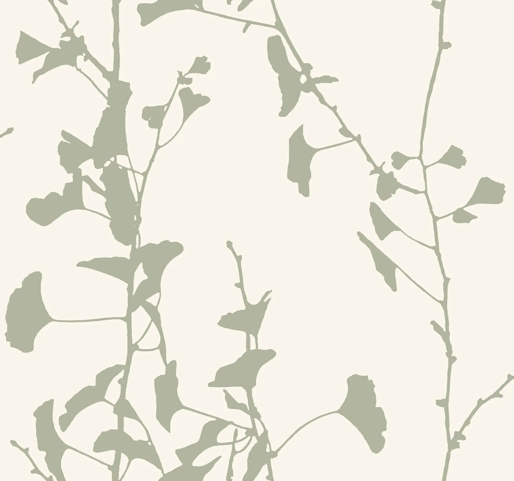 Ronald Redding Ginkgo Silhouette wallpaper, color Sage, SKU VR1510