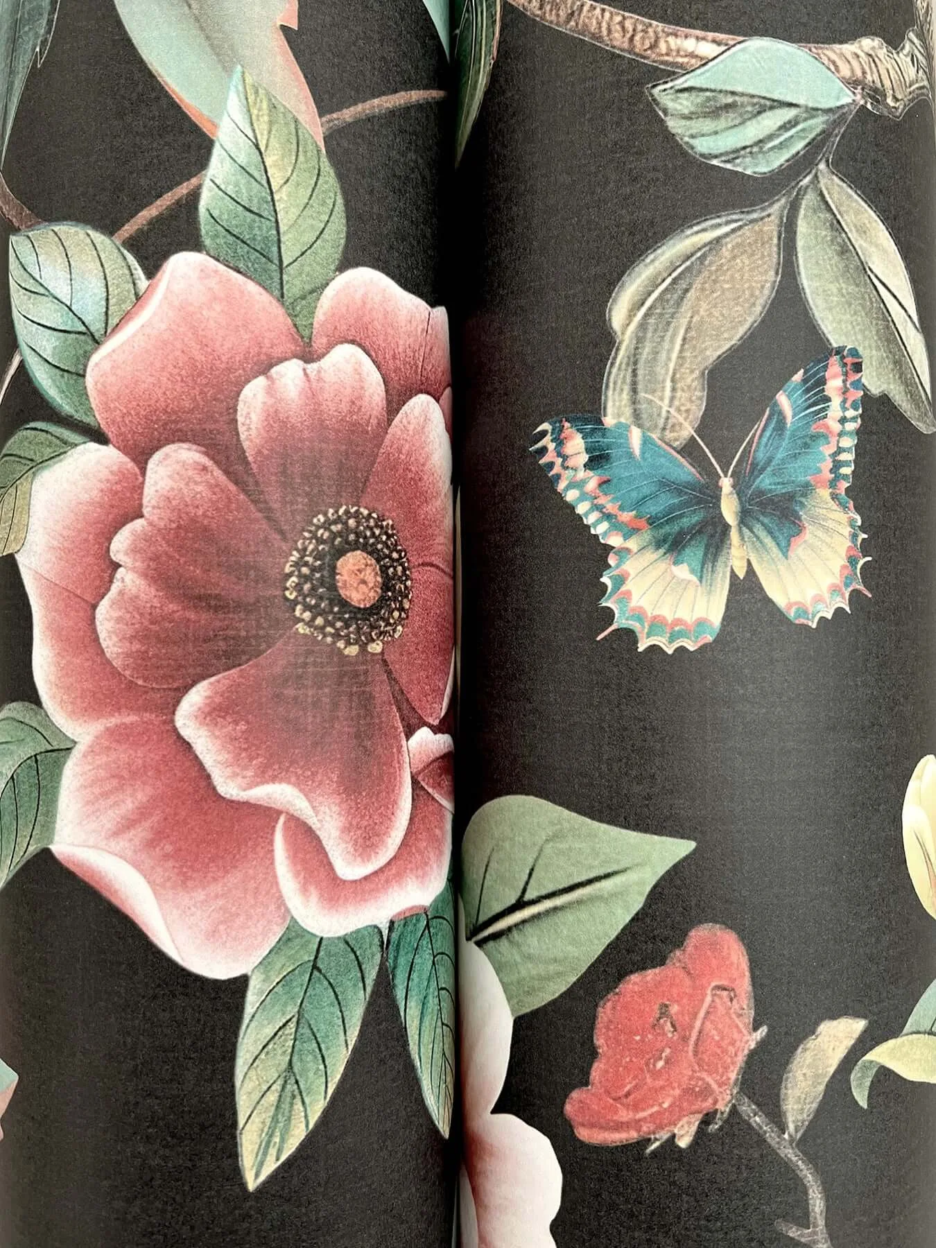 Ronald Redding Kimora's Garden wallpaper, color Black, SKU ZA8038