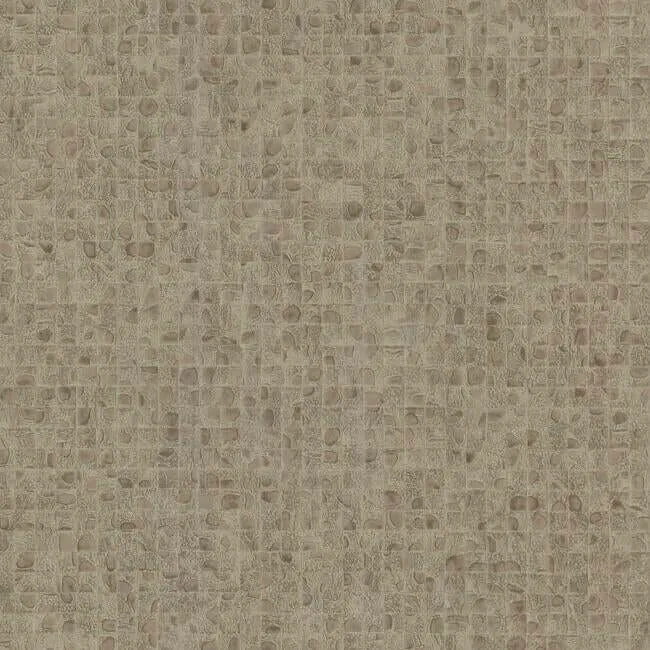 Ronald Redding Leather Lux wallpaper, color Beige, SKU HO2118