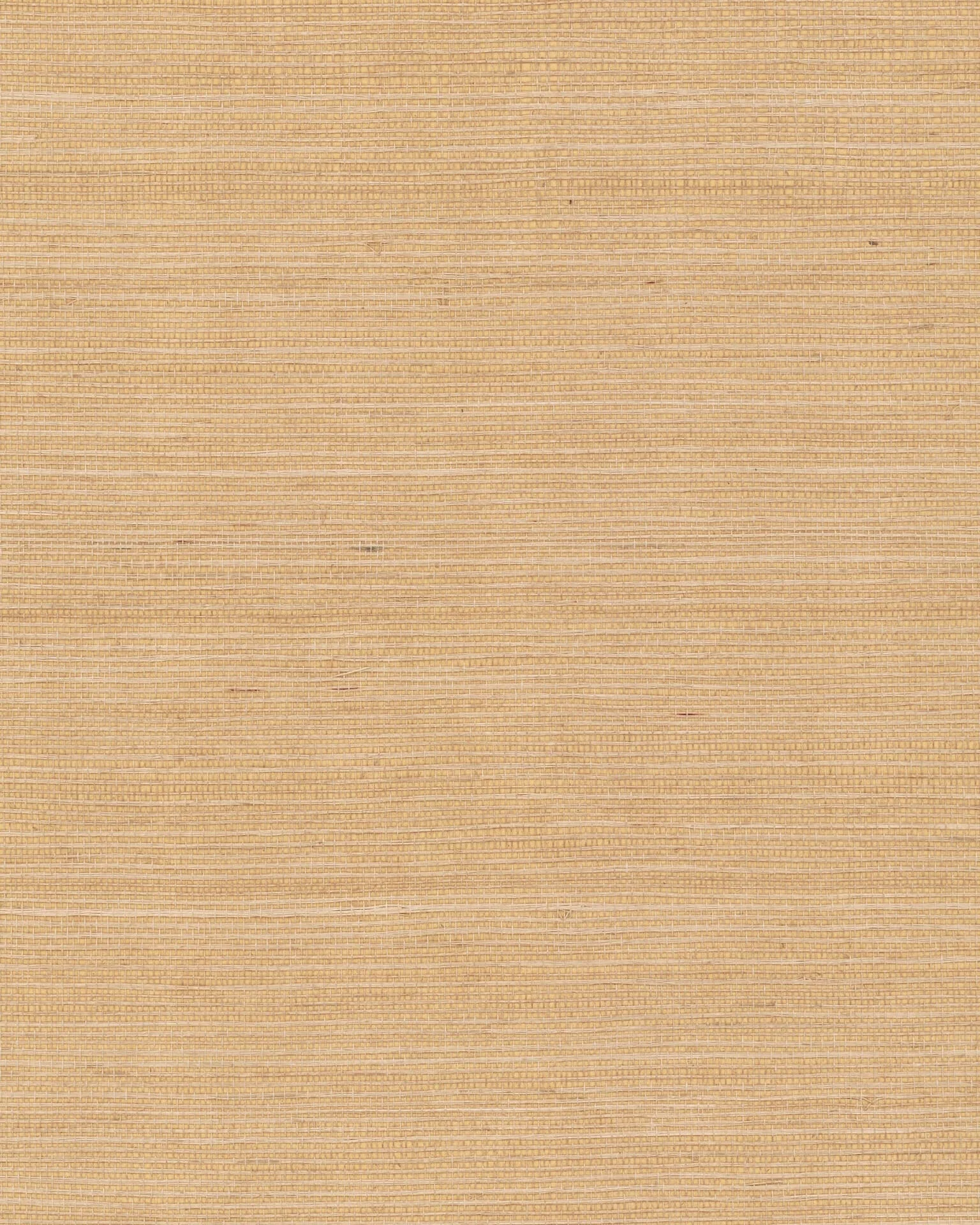 Ronald Redding Maguey Sisal wallpaper, color Biscotti, SKU GV0103NW
