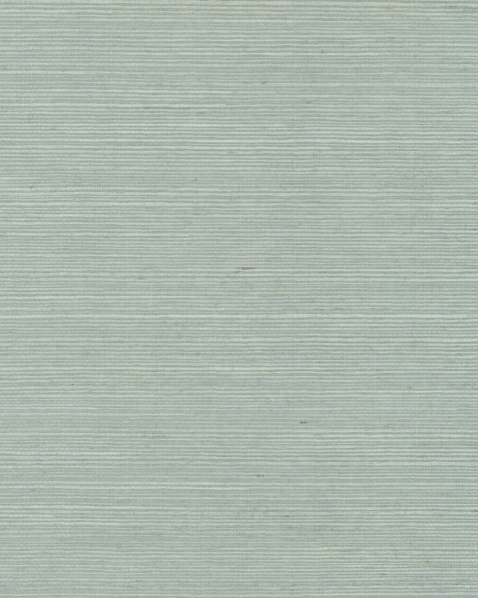 Ronald Redding Maguey Sisal wallpaper, color Blue, SKU VX2269NW