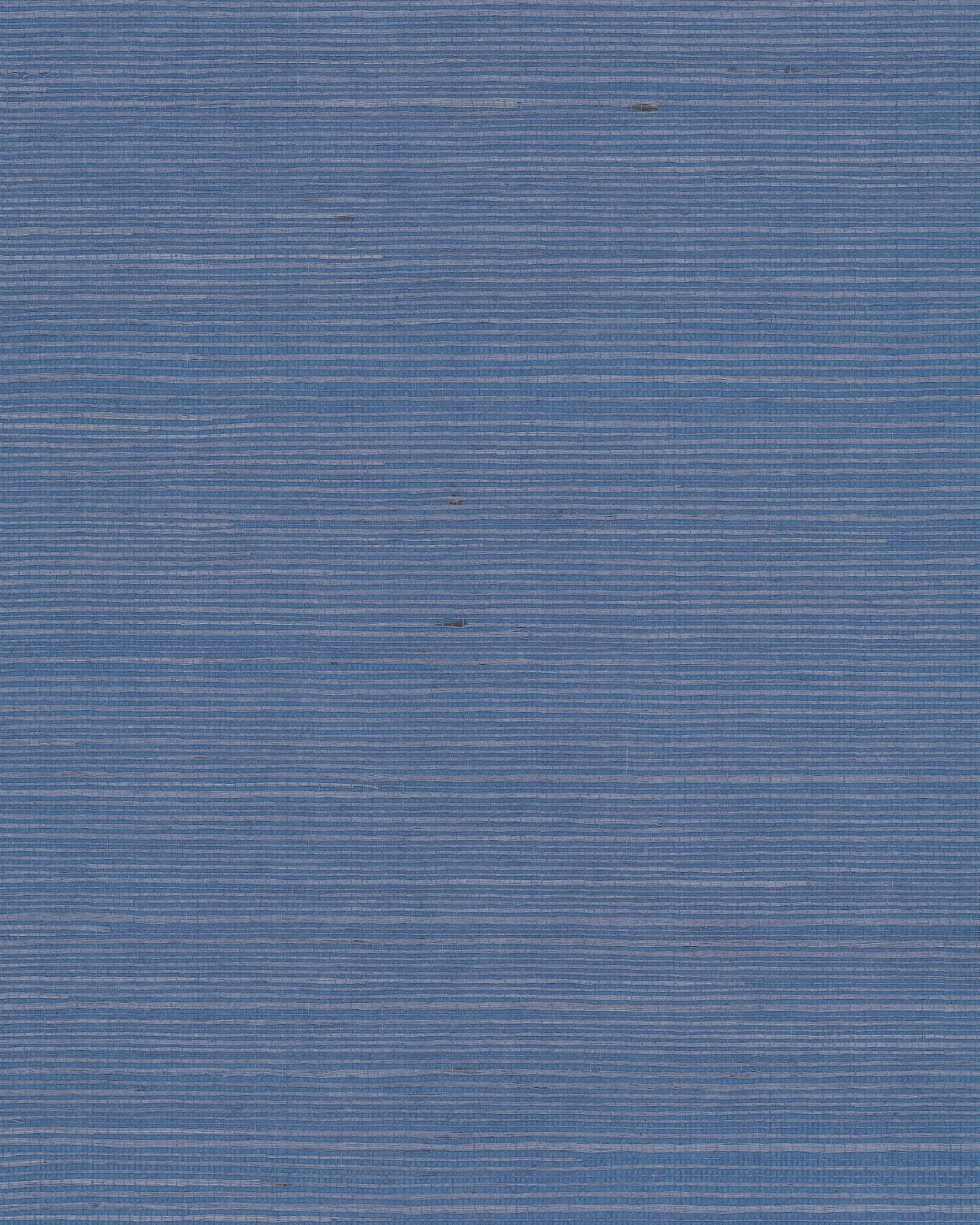 Ronald Redding Maguey Sisal wallpaper, color Bluebell, SKU GV0161NW