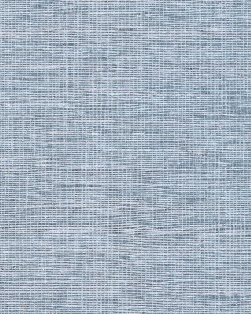 Ronald Redding Maguey Sisal wallpaper, color Cornflower, SKU GV0160NW