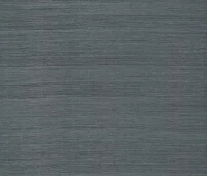 Ronald Redding Maguey Sisal wallpaper, color Denim, SKU YGL7002