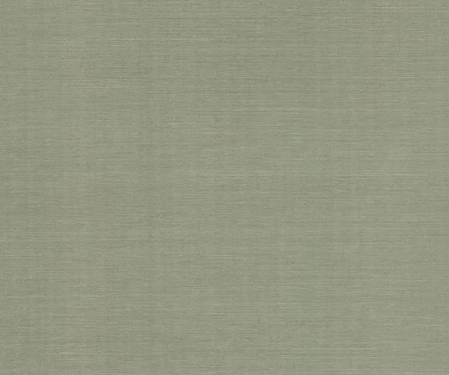 Ronald Redding Maguey Sisal wallpaper, color Desert Sage, SKU GRL88078