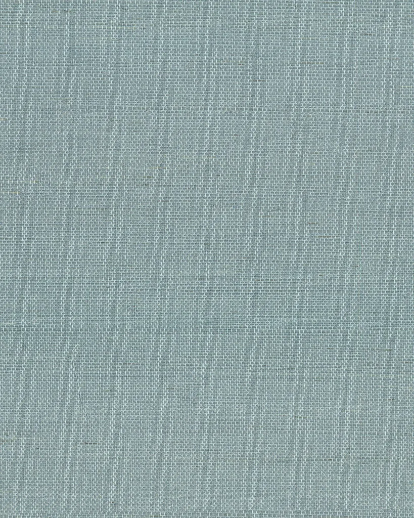 Ronald Redding Maguey Sisal wallpaper, color Dragonfly, SKU GV0153NW
