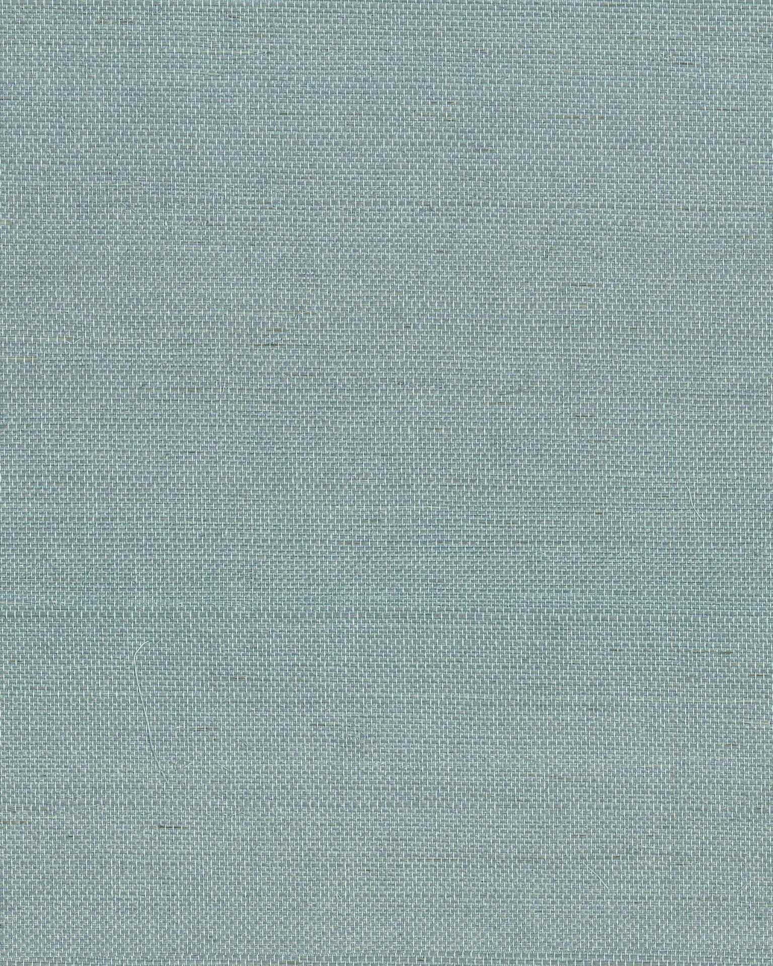 Ronald Redding Maguey Sisal wallpaper, color Dragonfly, SKU GV0153NW
