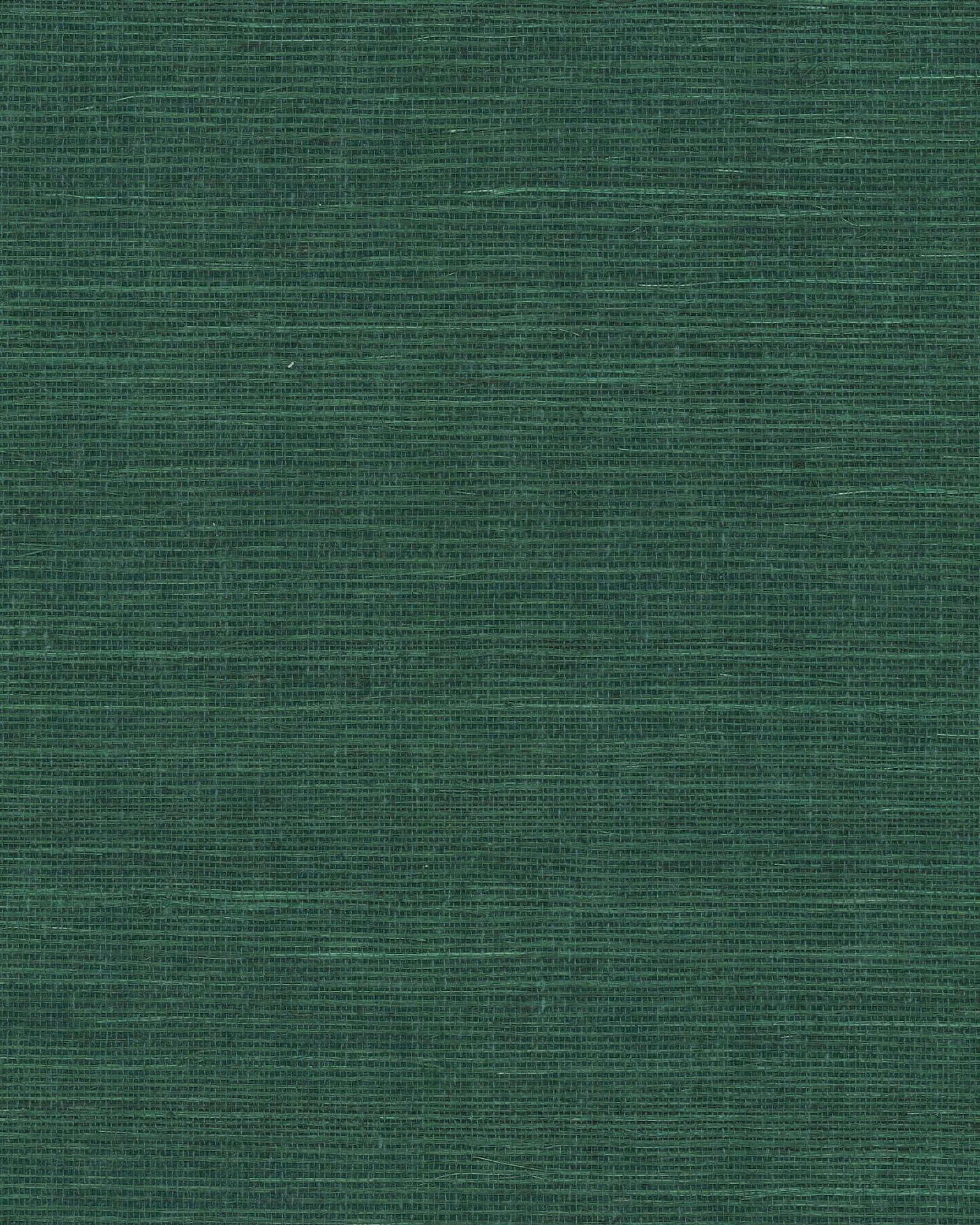 Ronald Redding Maguey Sisal wallpaper, color Forest, SKU GV0148NW