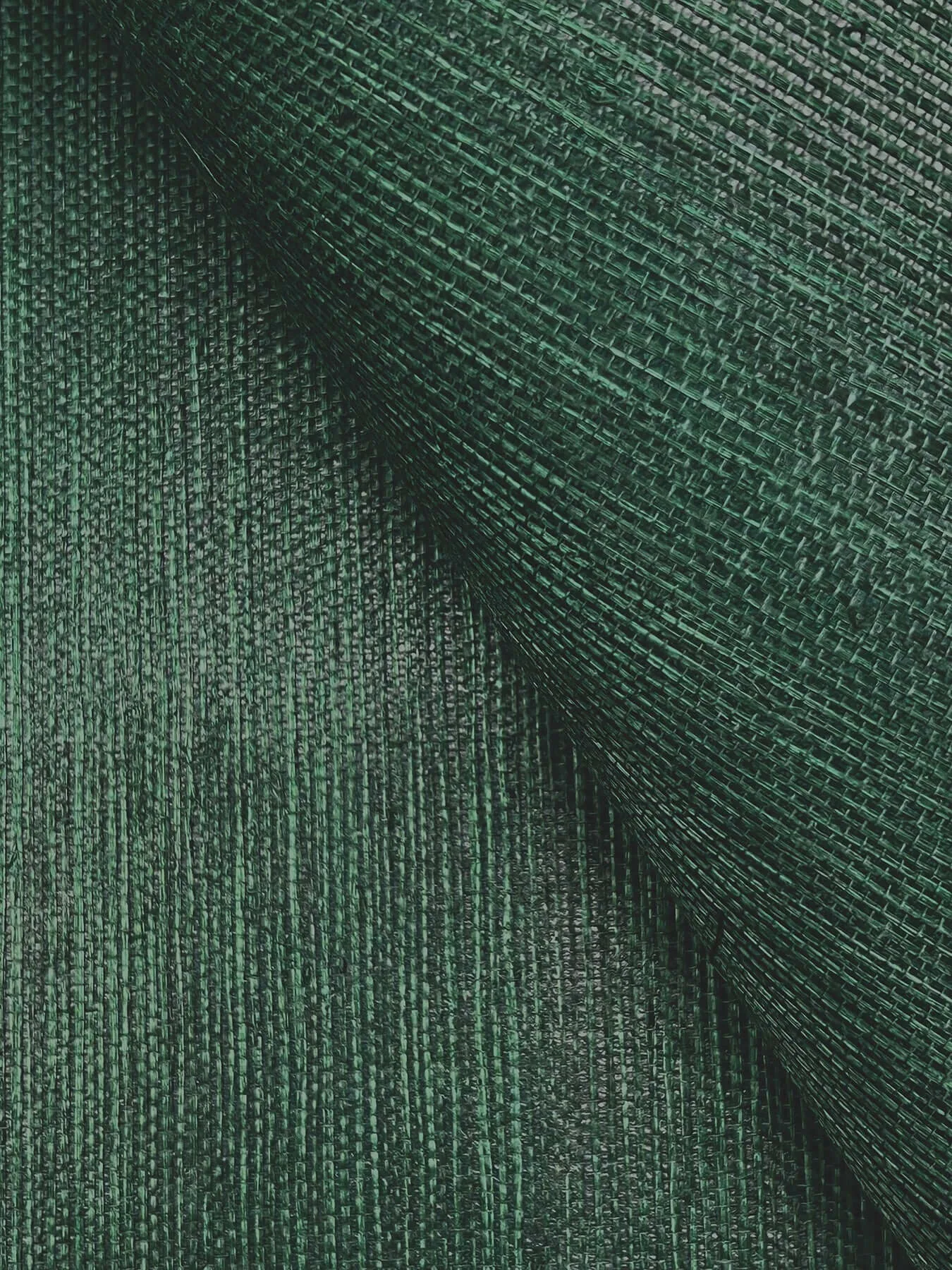 Ronald Redding Maguey Sisal wallpaper, color Forest, SKU GV0148NW