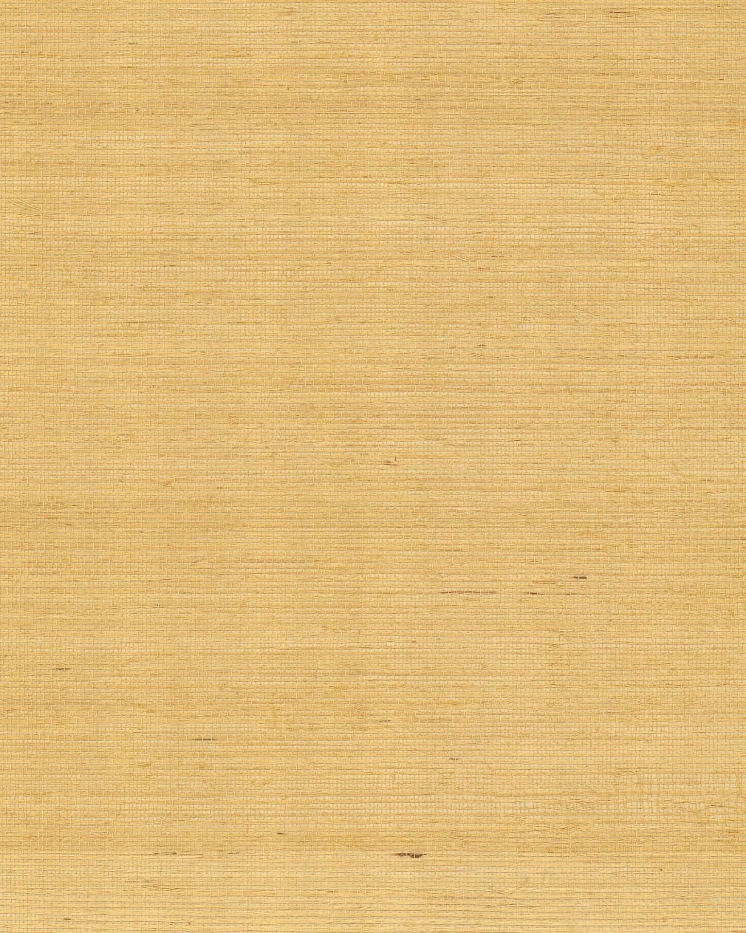 Ronald Redding Maguey Sisal wallpaper, color Gold, SKU GV0114NW
