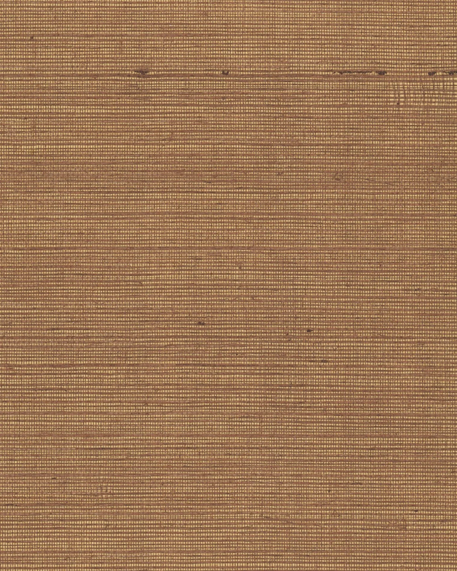 Ronald Redding Maguey Sisal wallpaper, color Gold, SKU GV0116NW