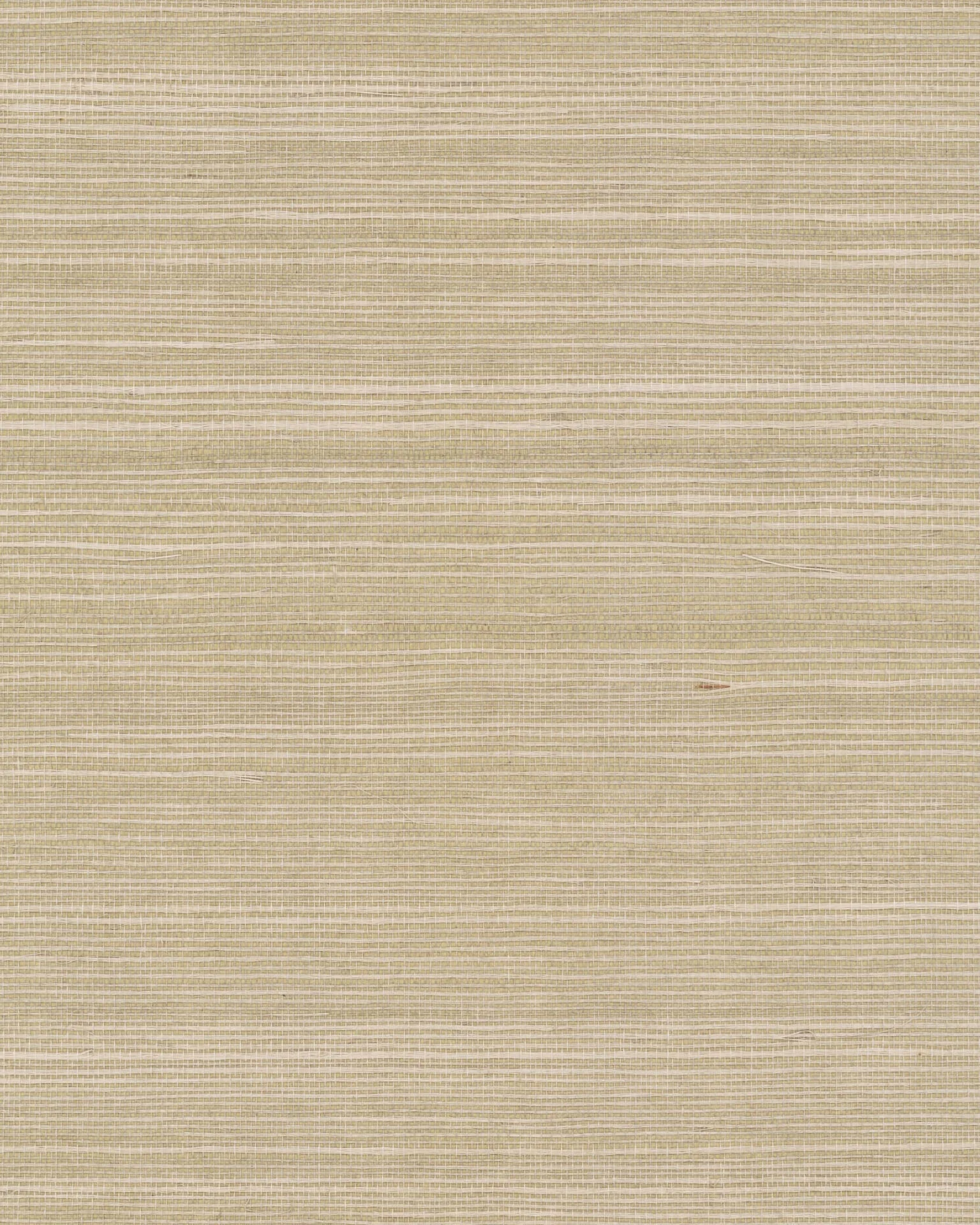 Ronald Redding Maguey Sisal wallpaper, color Mushroom, SKU GV0176NW