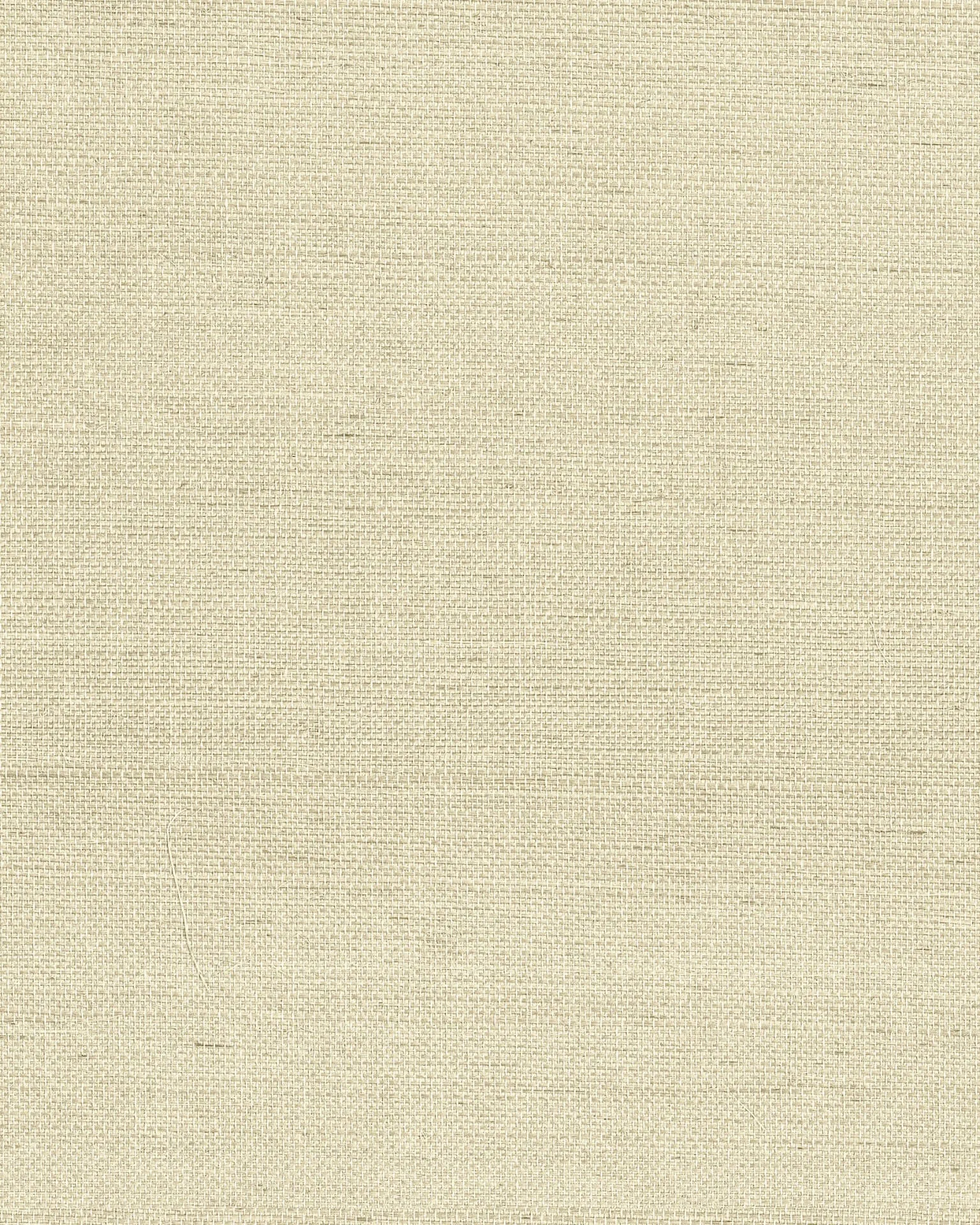 Ronald Redding Maguey Sisal wallpaper, color Oat, SKU GV0173NW