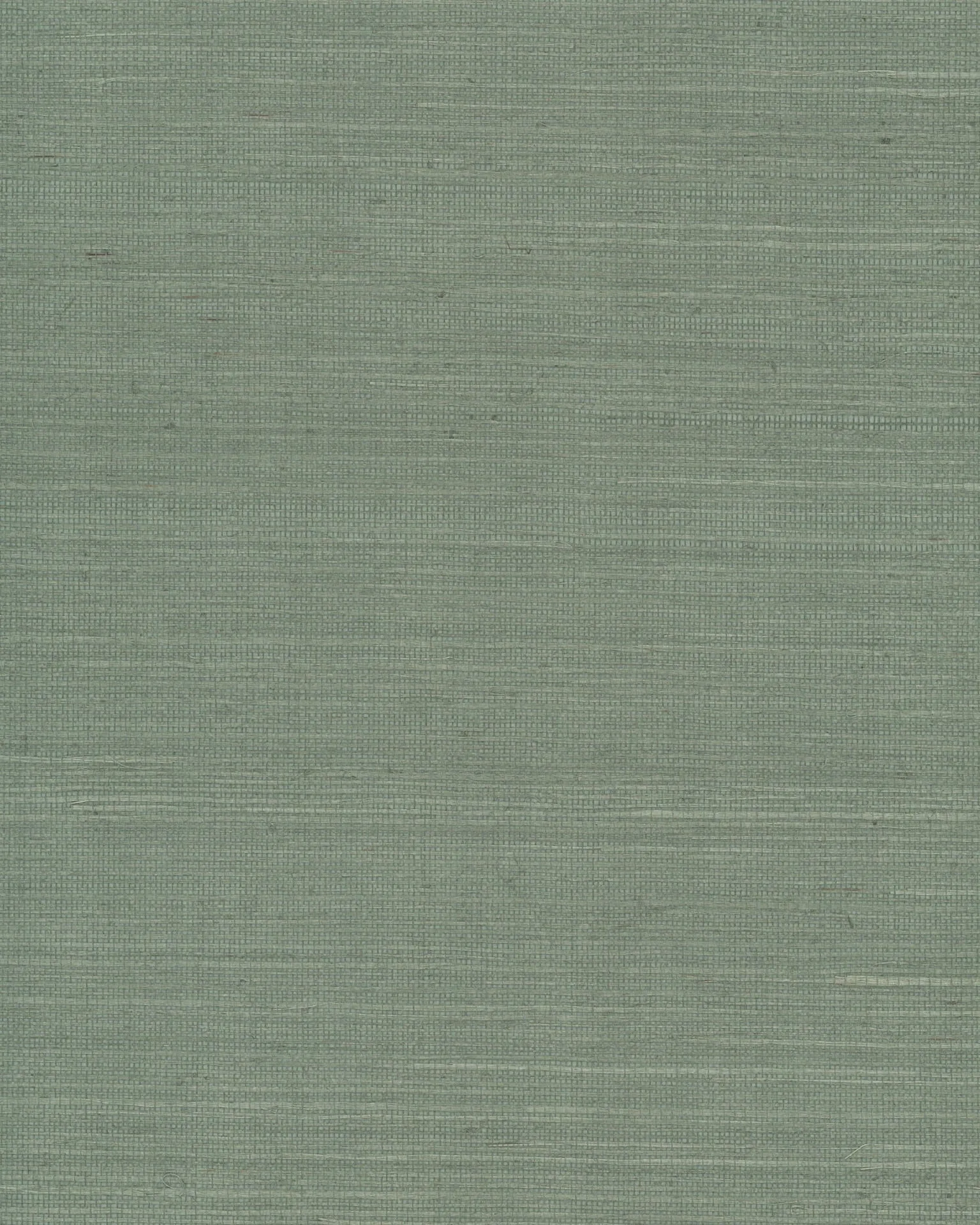 Ronald Redding Maguey Sisal wallpaper, color Sage, SKU GV0146NW