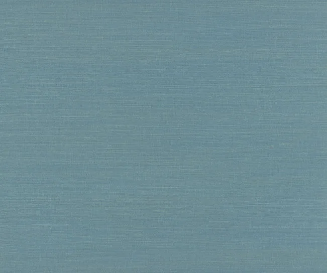 Ronald Redding Maguey Sisal wallpaper, color Sky, SKU YGL7057