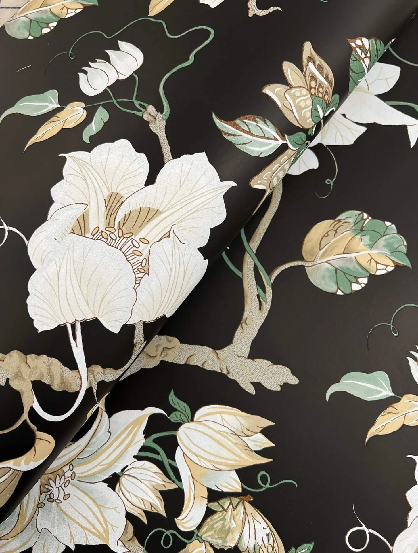 Ronald Redding Marguerite Vine wallpaper, color Black, SKU GT4514