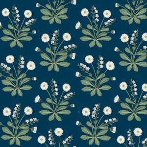 Ronald Redding Meadow Flowers wallpaper, color Navy & White, SKU AC9151