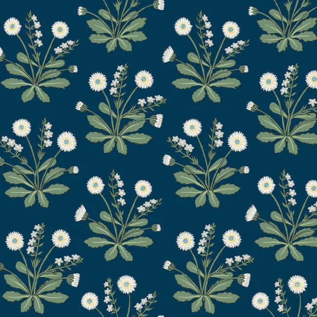 Ronald Redding Meadow Flowers wallpaper, color Navy & White, SKU AC9151