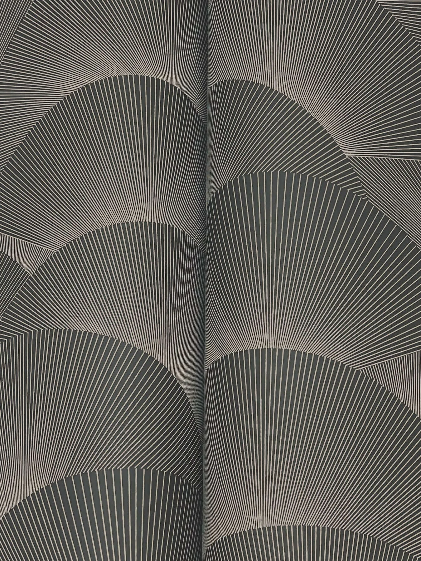 Ronald Redding Morning Shell - Black & Grey Wallpaper | Buy Online Ronald Redding Morning Shell wallpaper, color Black & Grey, SKU ZA8022