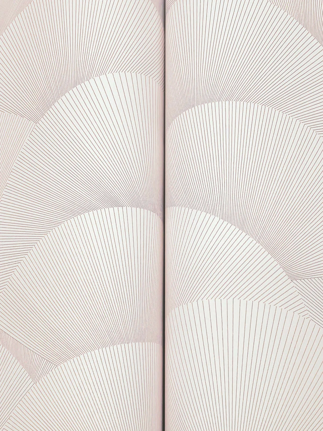 Ronald Redding Morning Shell - Blush Wallpaper | Buy Online Ronald Redding Morning Shell wallpaper, color Blush, SKU ZA8026