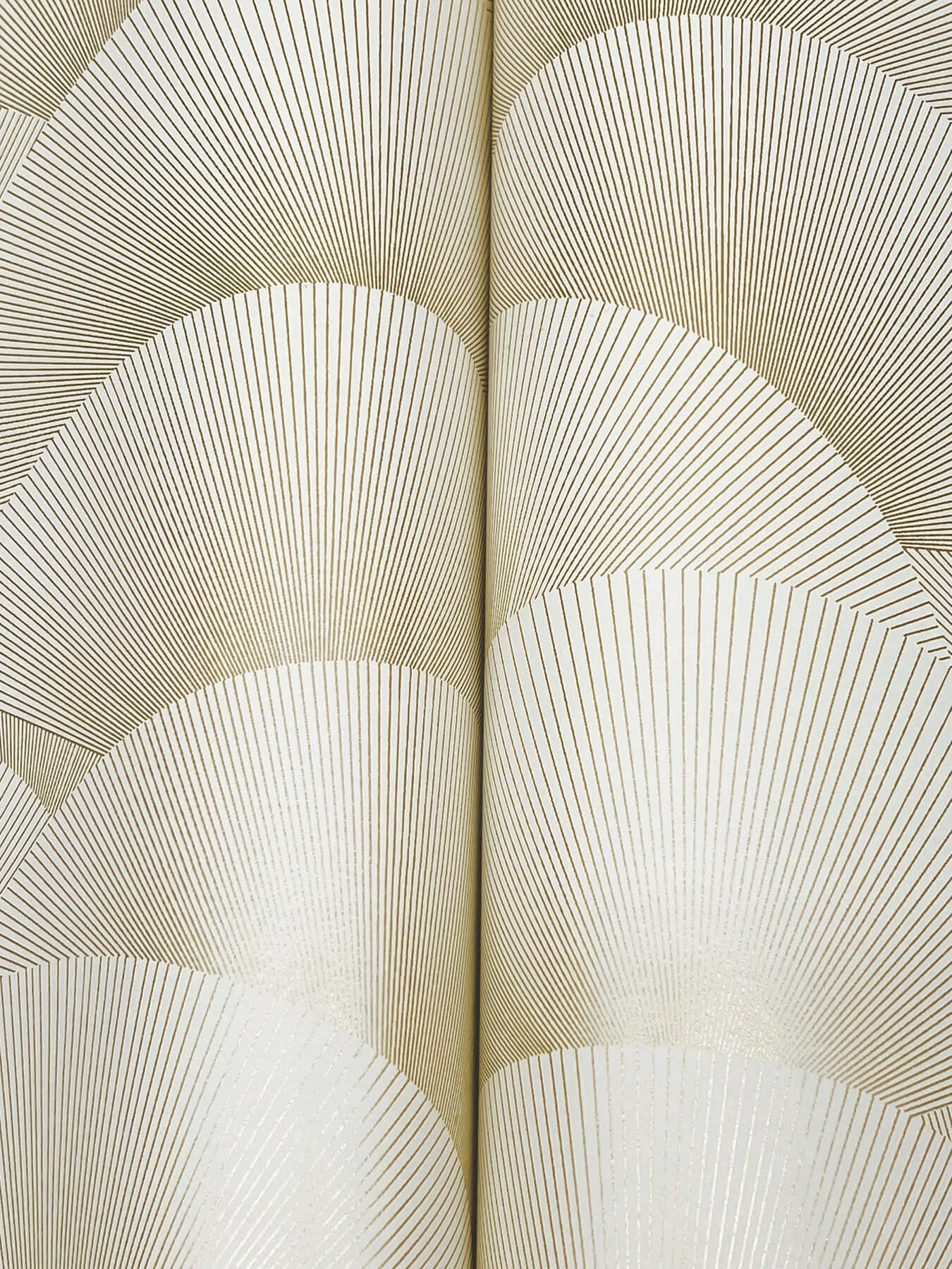 Ronald Redding Morning Shell - Cream & Gold Wallpaper | Buy Online Ronald Redding Morning Shell wallpaper, color Cream & Gold, SKU ZA8021