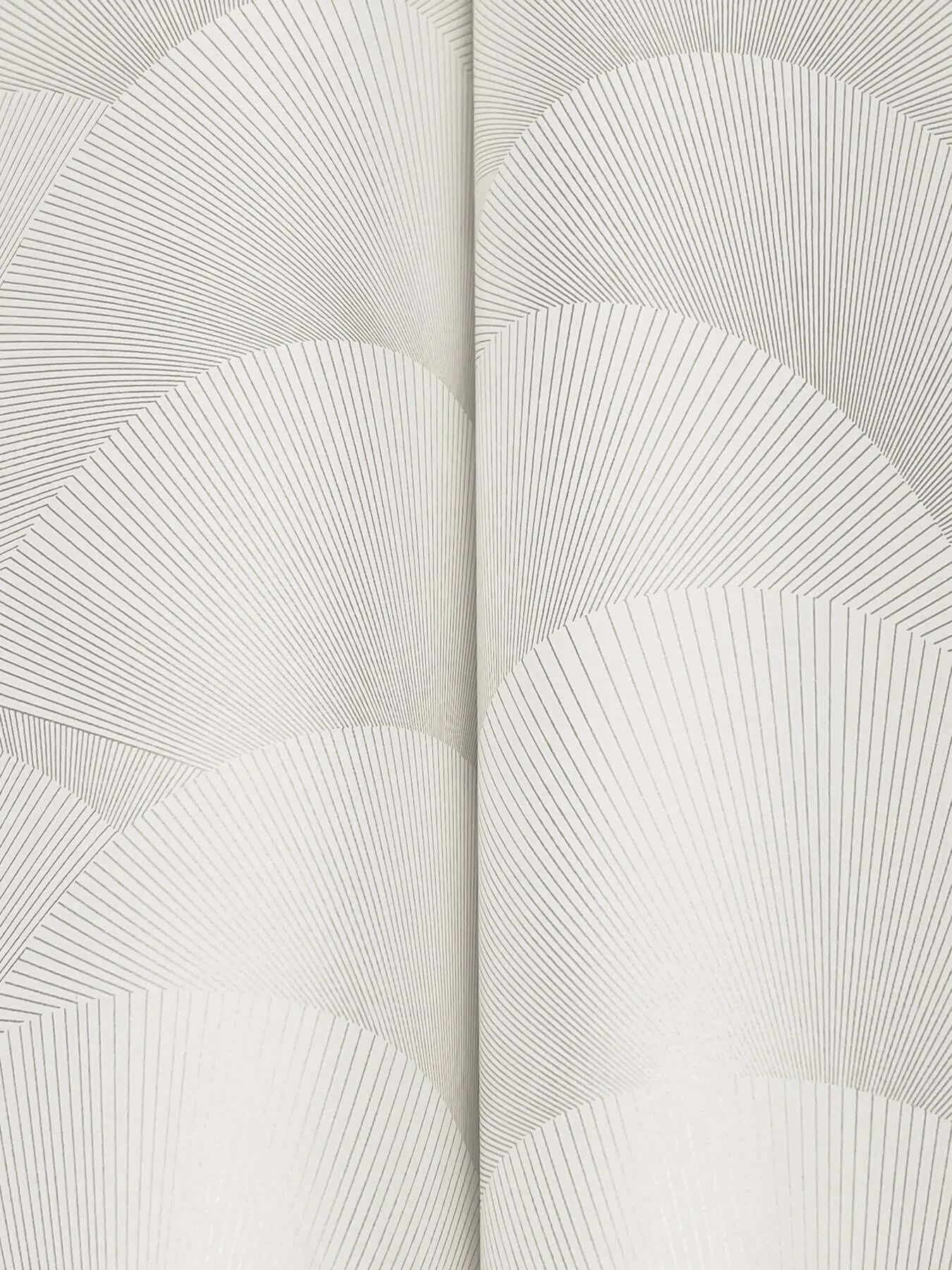 Ronald Redding Morning Shell wallpaper, color White & Silver, SKU ZA8023