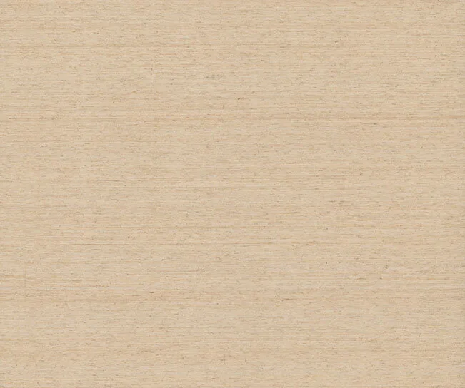 Ronald Redding Nature's Abaca wallpaper, color Oat, SKU YGL7052