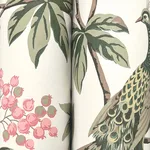 Ronald Redding Peacock Estate wallpaper, color Cream, SKU MX9665