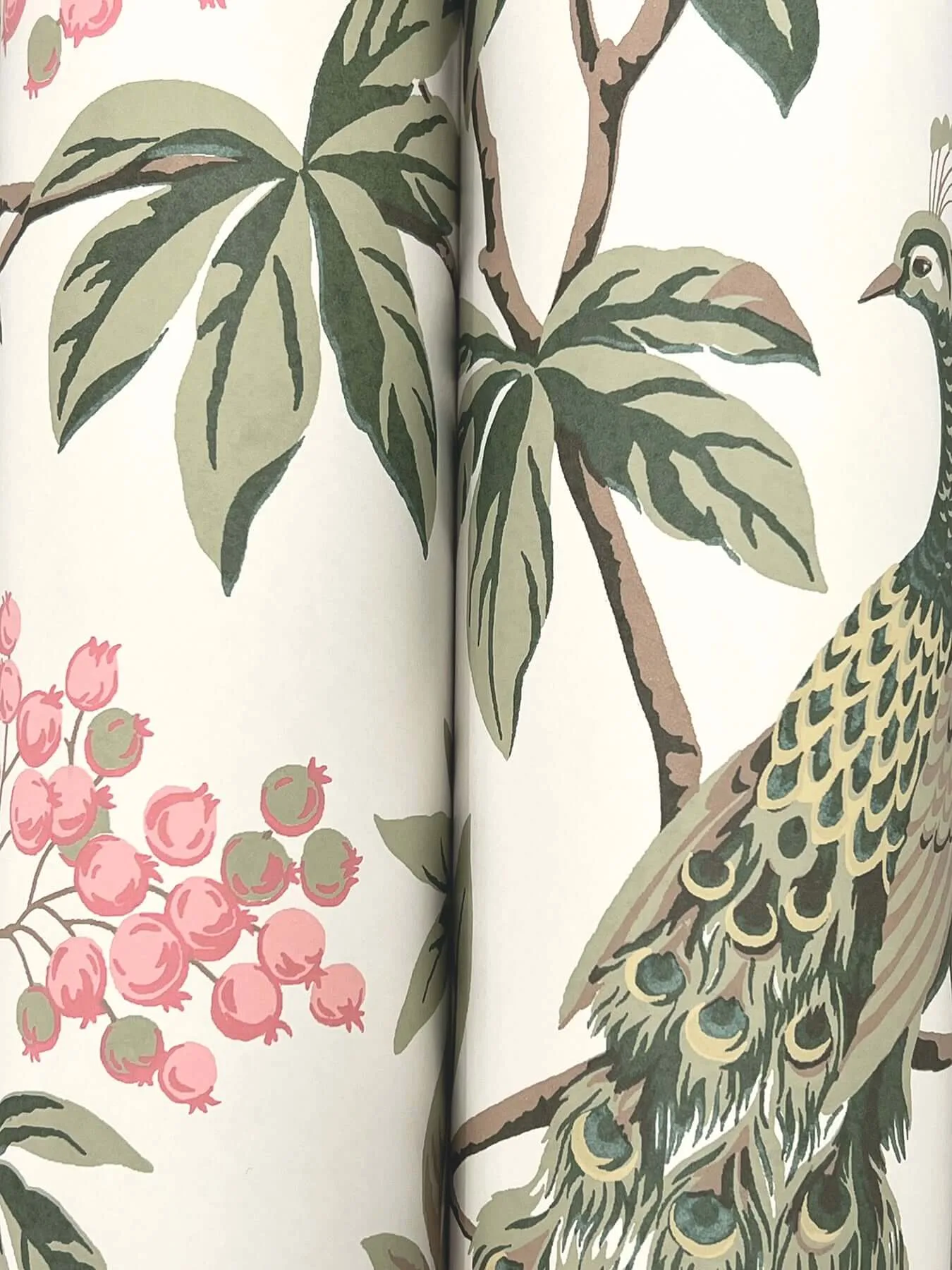 Ronald Redding Peacock Estate wallpaper, color Cream, SKU MX9665
