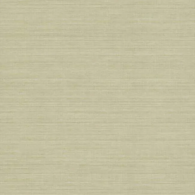 Ronald Redding Silk Elegance wallpaper, color Tan, SKU KT2247N