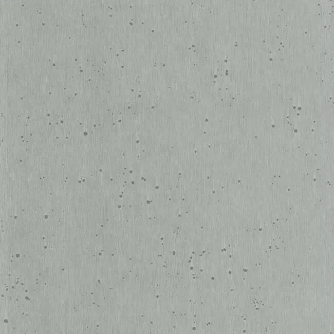 Ronald Redding Silver Burnished Patina wallpaper, color White Silver, SKU AC9211