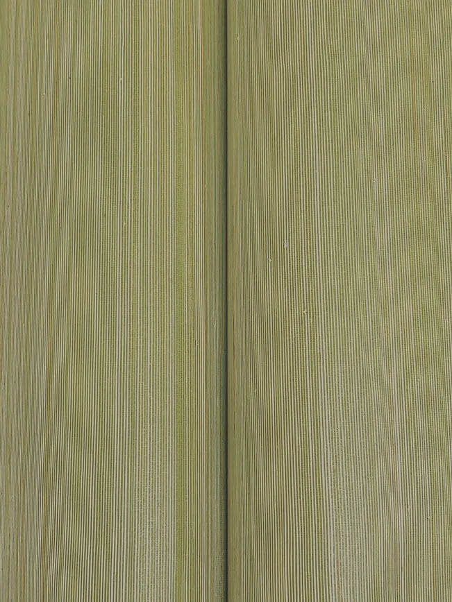 Ronald Redding Smooth Abaca wallpaper, color Moss, SKU GRL88366