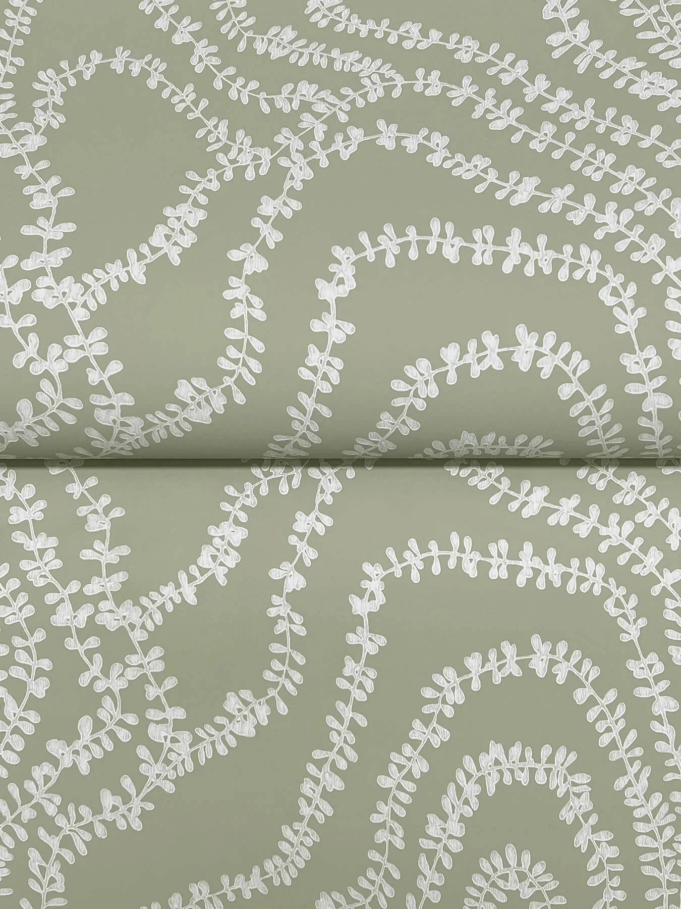 Ronald Redding String of Pearls - Sage Wallpaper | Buy Online Ronald Redding String of Pearls wallpaper, color Sage, SKU VR1513