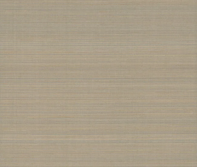 Ronald Redding Tailored Abaca wallpaper, color Shittake, SKU YGL7013