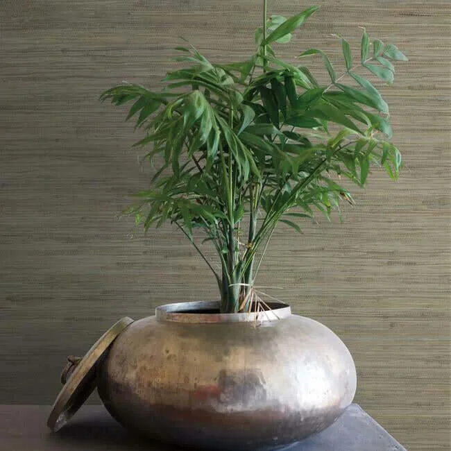 Ronald Redding Threaded Jute wallpaper, color Green, SKU OG0519