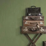 Ronald Redding Weekender Weave wallpaper, color Green, SKU 5858