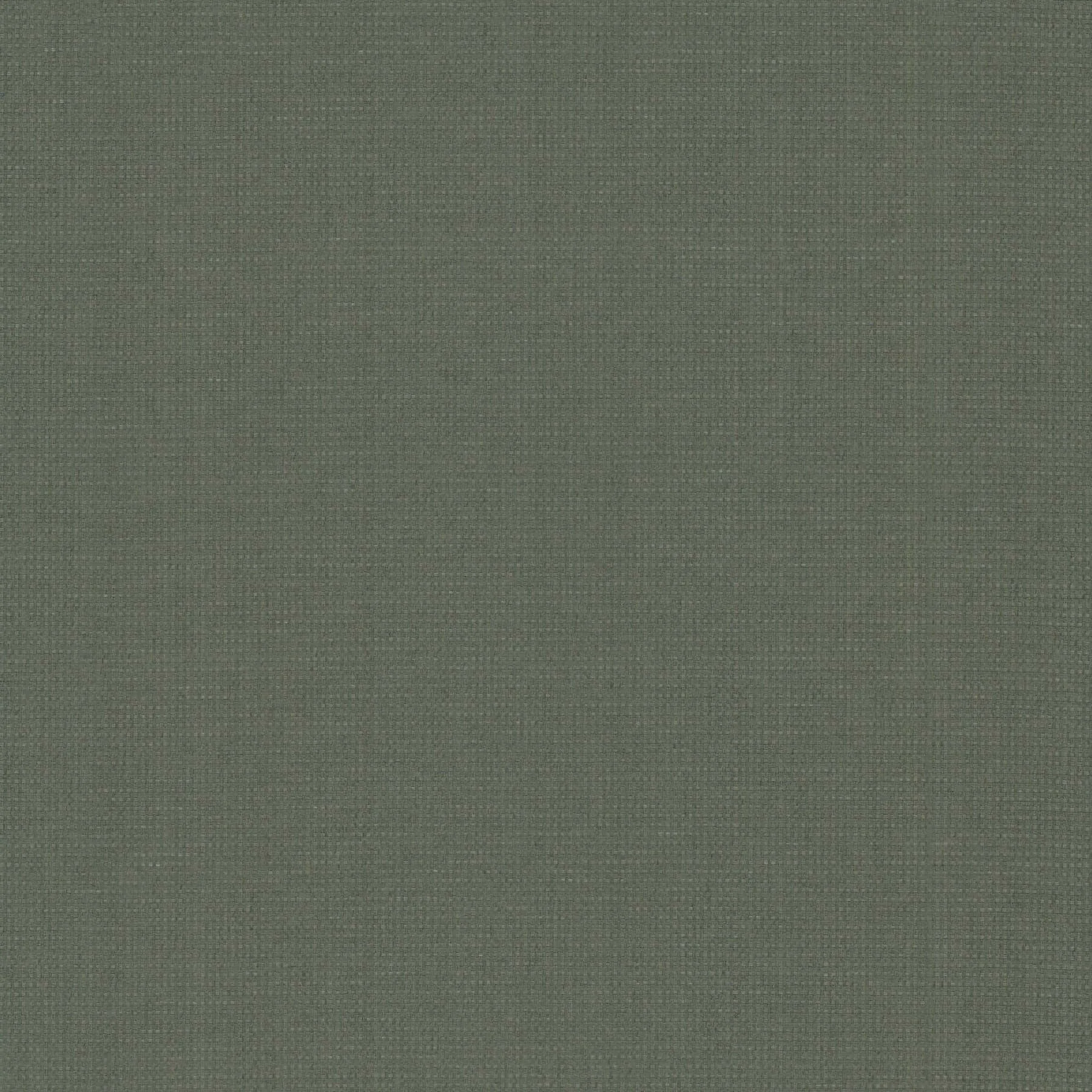 Ronald Redding Wicker Work wallpaper, color Evergreen, SKU GV0261