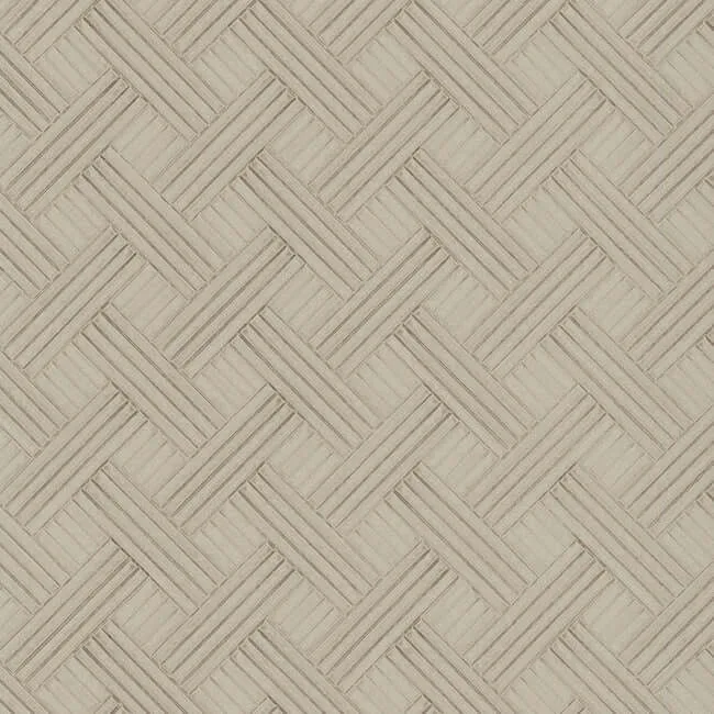 Ronald Redding Wickwork wallpaper, color Fog Transit, SKU RRD7648