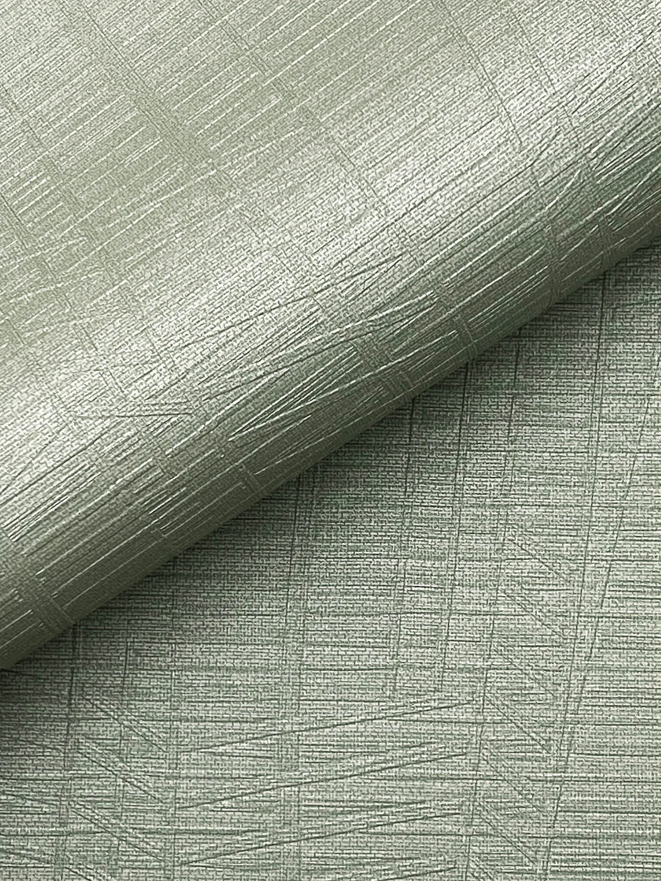 Warner Amir - Light Green Wallpaper | Buy Online Warner Amir wallpaper, color Light Green, SKU 4207-5445