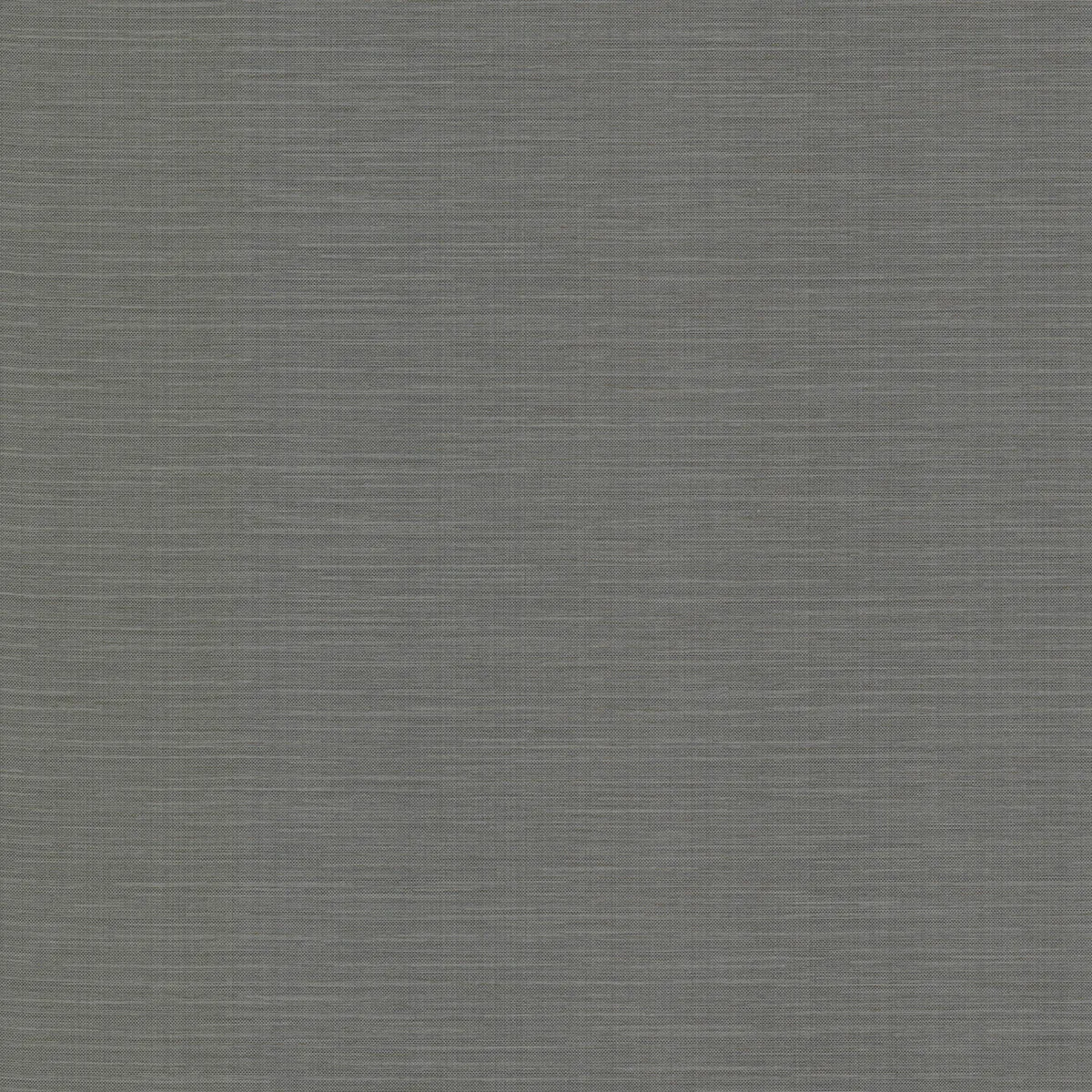 Warner Bay Ridge wallpaper, color Charcoal, SKU 2984-2783
