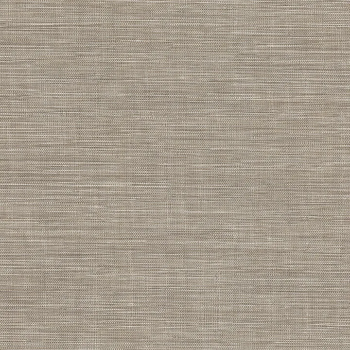Warner Winn wallpaper, color Beige, SKU 4174-4602
