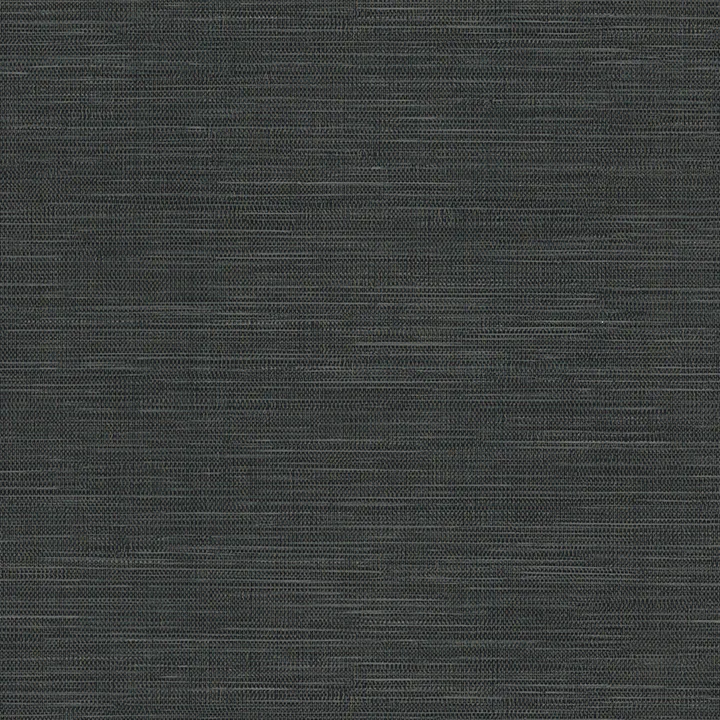 Warner Winn wallpaper, color Black, SKU 4174-4611