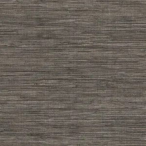 Warner Winn wallpaper, color Charcoal, SKU 4174-4607