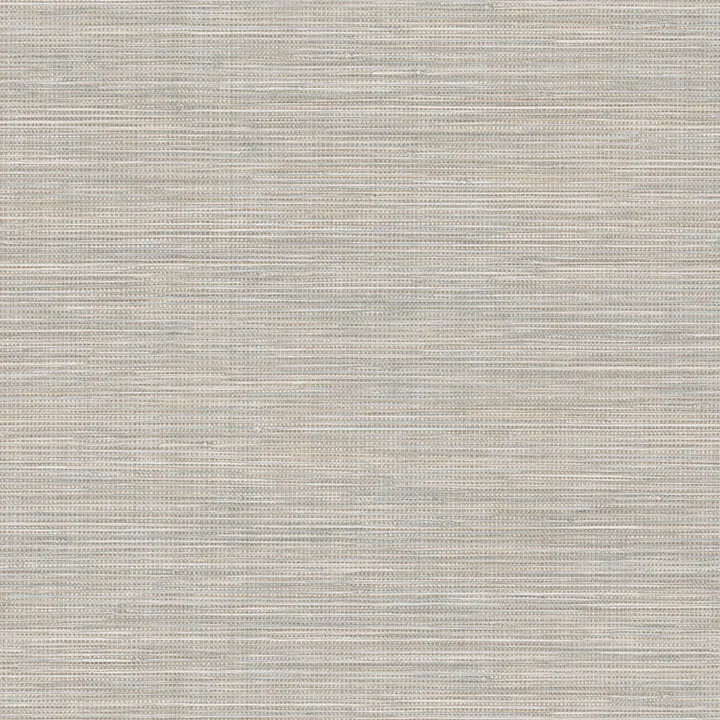 Warner Winn wallpaper, color Light Grey, SKU 4174-4608