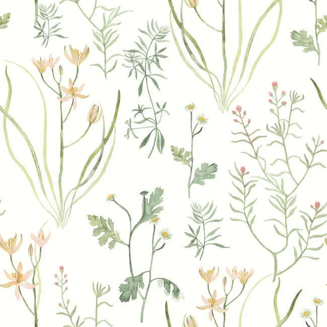 York Wallcoverings Alpine Botanical wallpaper, color Peach, SKU PSW1519RL