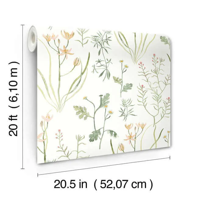 York Wallcoverings Alpine Botanical wallpaper, color Peach, SKU PSW1519RL