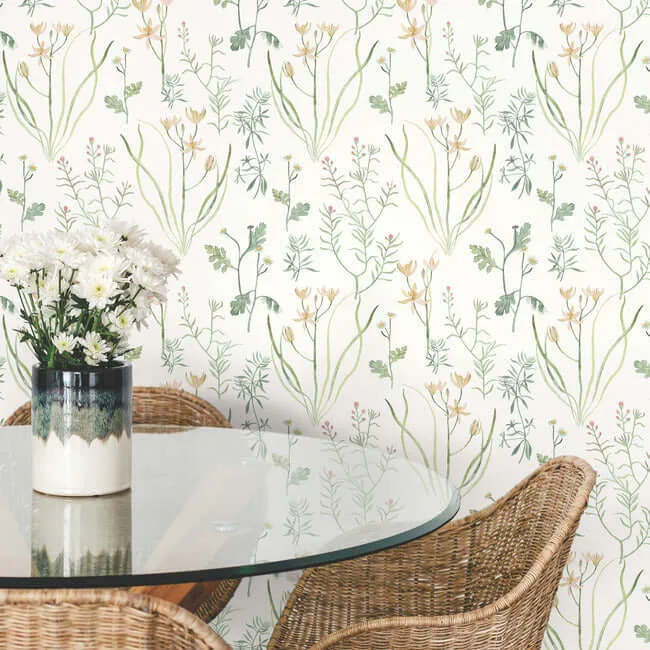 York Wallcoverings Alpine Botanical wallpaper, color Peach, SKU PSW1519RL
