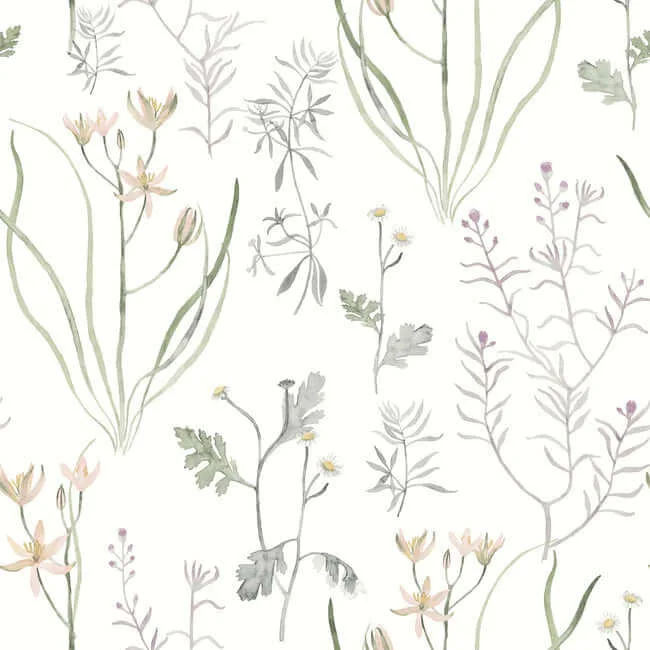 York Wallcoverings Alpine Botanical wallpaper, color Lavender, SKU PSW1521RL